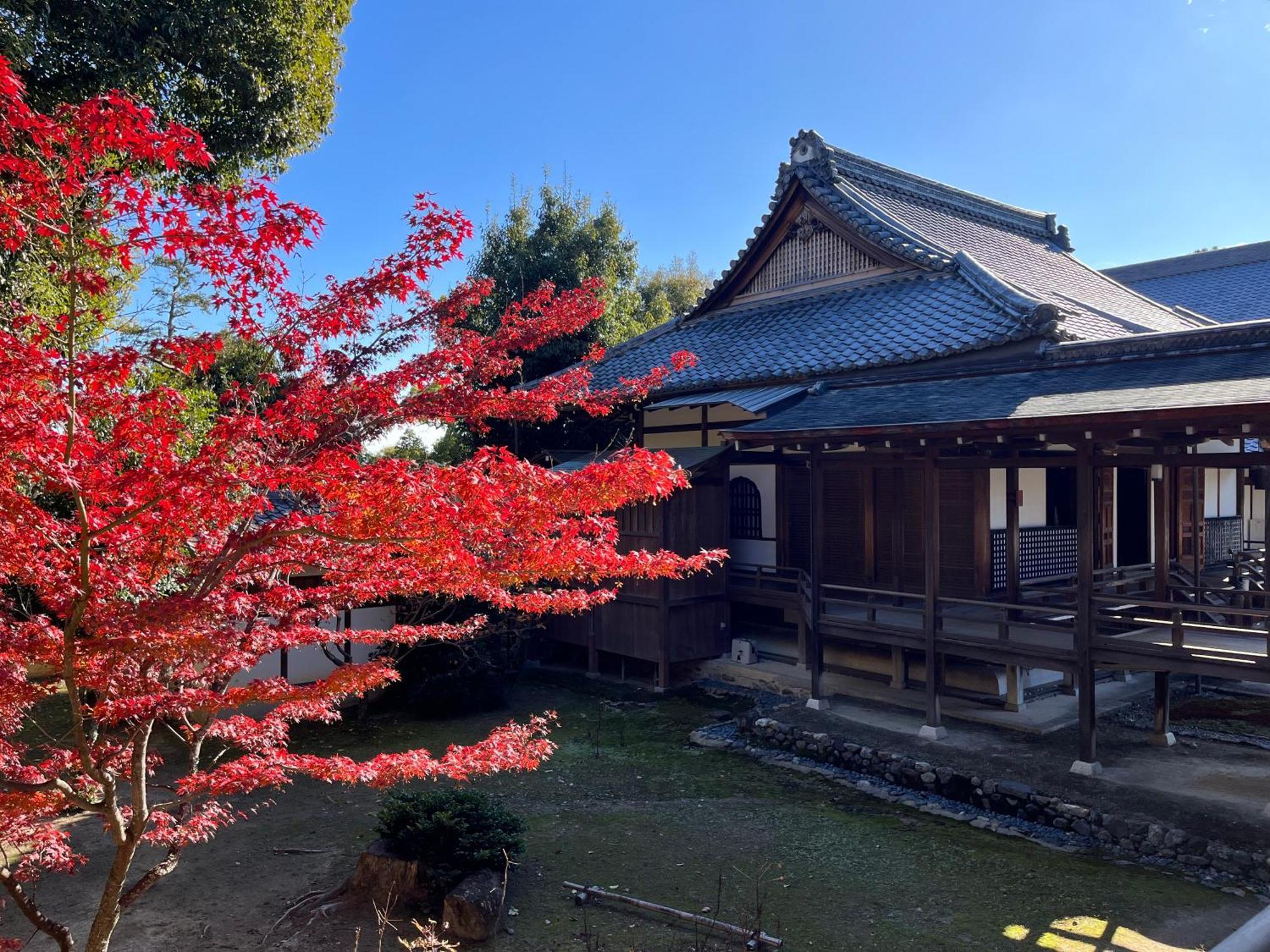 嵐山 天龍の宿 駐車無料 一棟貸切 最大5人 Dragon Legend Arashiyama Central Private Rare Modern Villa Free Parking Max 5Ppl Shimo-saga Buitenkant foto