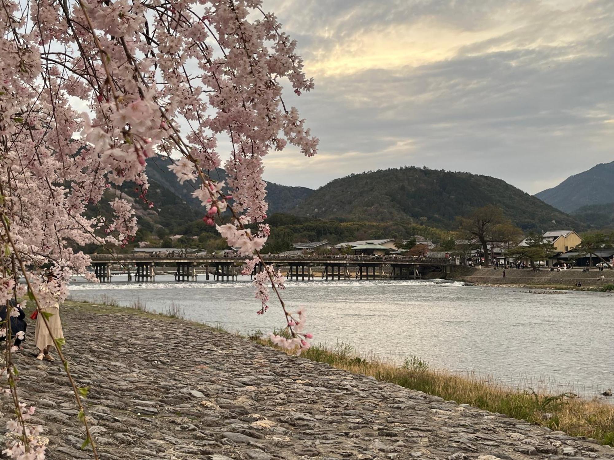 嵐山 天龍の宿 駐車無料 一棟貸切 最大5人 Dragon Legend Arashiyama Central Private Rare Modern Villa Free Parking Max 5Ppl Shimo-saga Buitenkant foto